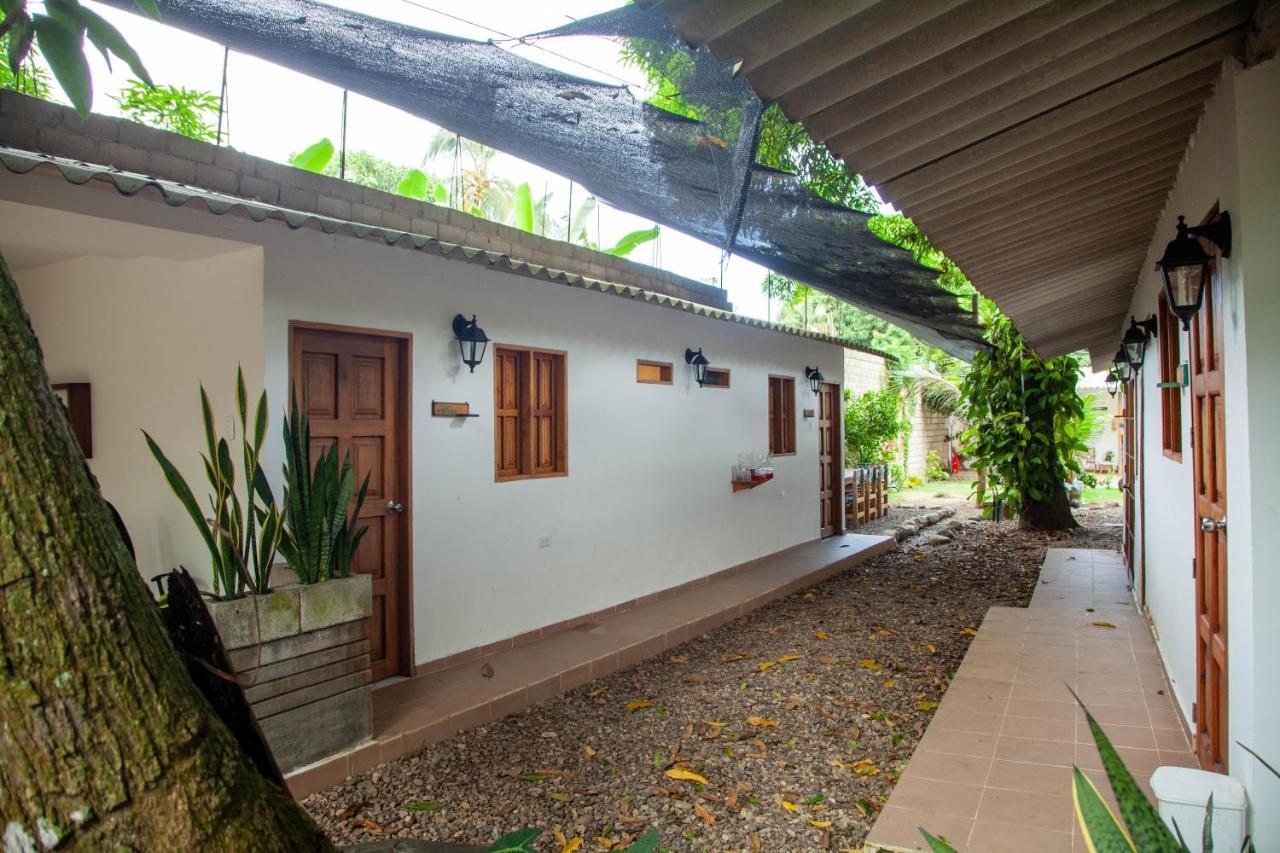 Hostal Hermoso ปาโลมิโน ภายนอก รูปภาพ