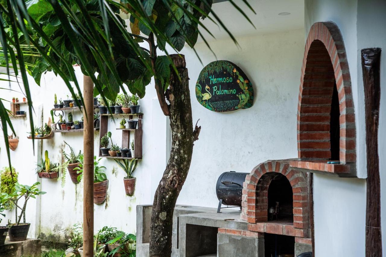 Hostal Hermoso ปาโลมิโน ภายนอก รูปภาพ