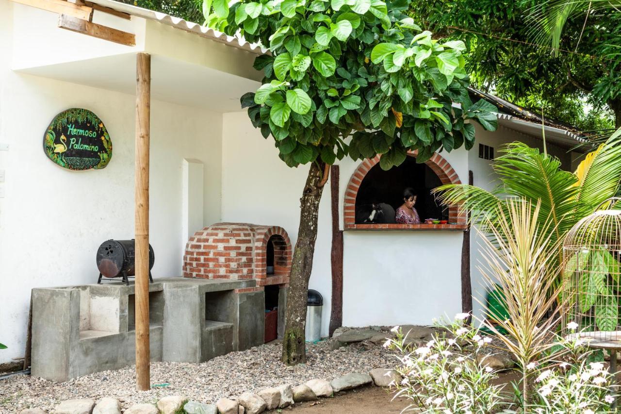 Hostal Hermoso ปาโลมิโน ภายนอก รูปภาพ