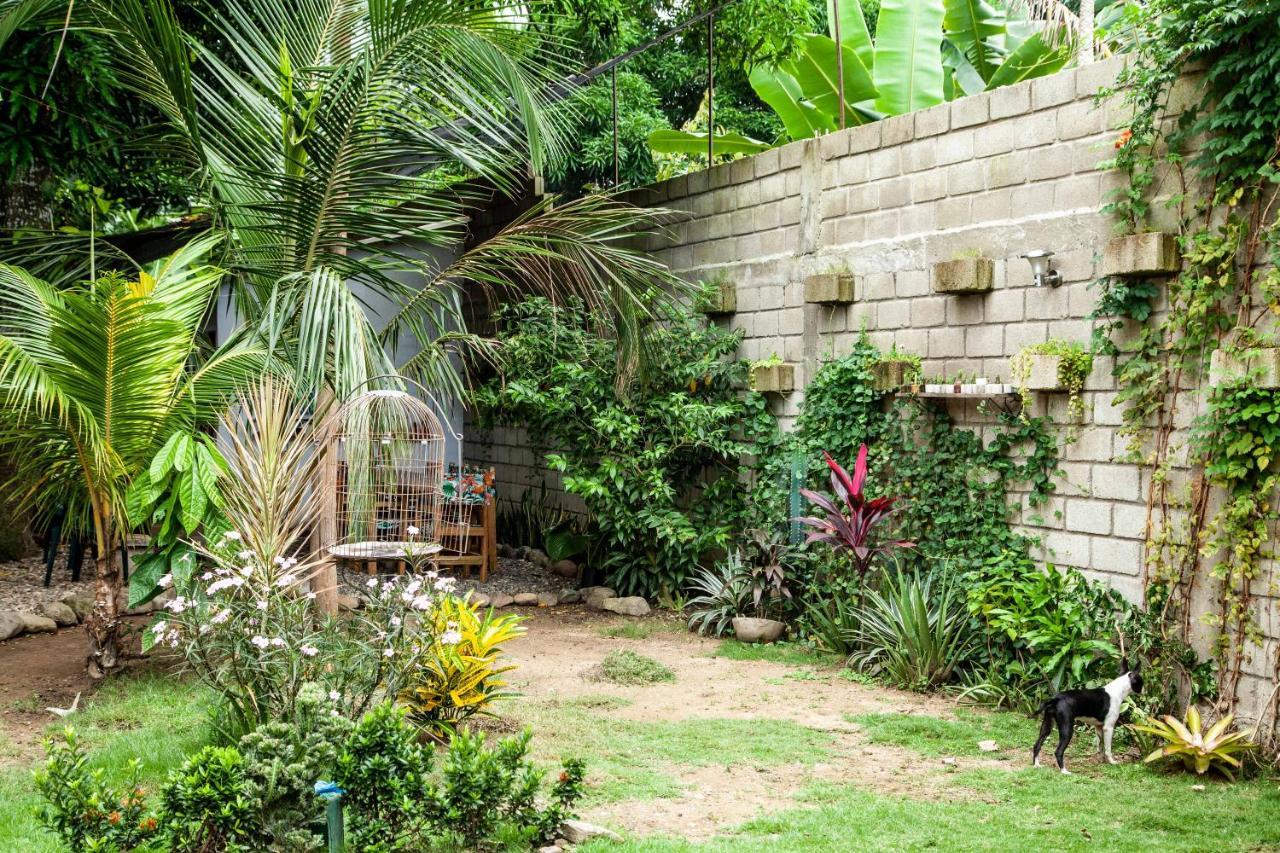 Hostal Hermoso ปาโลมิโน ภายนอก รูปภาพ