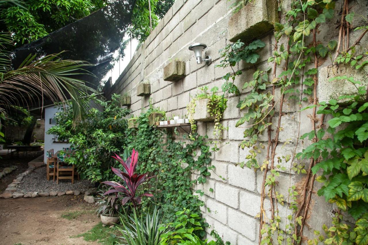Hostal Hermoso ปาโลมิโน ภายนอก รูปภาพ